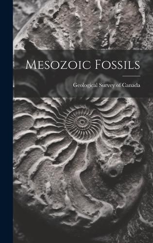 Cover image for Mesozoic Fossils