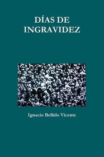 Cover image for Dias De Ingravidez