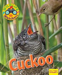 Cover image for Wildlife Watchers: Cuckoo