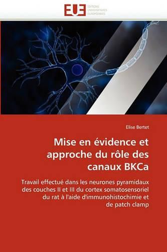 Cover image for Mise En Vidence Et Approche Du R Le Des Canaux Bkca