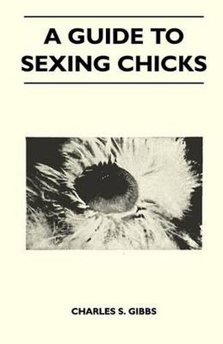 Cover image for A Guide To Sexing Chicks