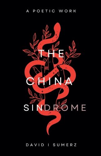 Cover image for The China Sindrome