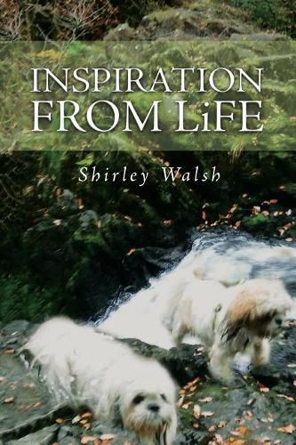 Cover image for Inspiration from Life