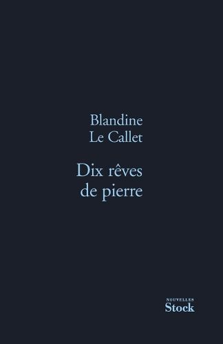 Cover image for Dix reves de pierre