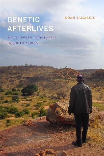 Cover image for Genetic Afterlives: Black Jewish Indigeneity in South Africa