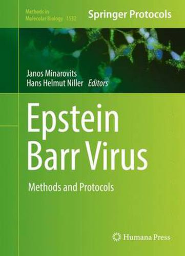 Cover image for Epstein Barr Virus: Methods and Protocols