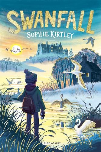Cover image for Swanfall