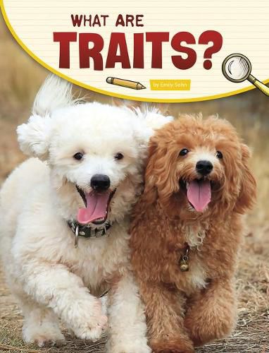 Cover image for What Are Traits?