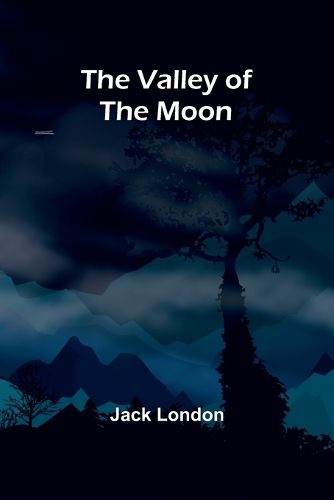 Cover image for The Valley of the Moon