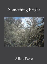 Cover image for Something Bright