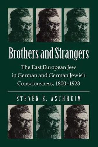 Cover image for Brothers and Strangers: East European Jew in German and German Jewish Consciousness, 1800-1923