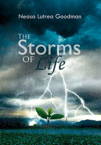 Cover image for The Storms of Life