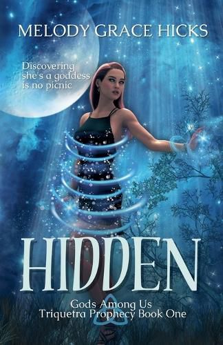 Cover image for Hidden