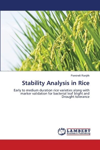 Cover image for Stability Analysis in Rice