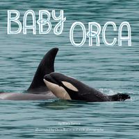 Cover image for Baby Orca