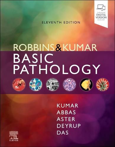 Cover image for Robbins & Kumar Basic Pathology.