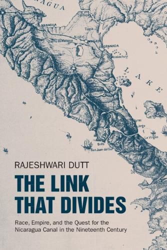 Cover image for The Link That Divides
