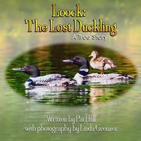 Cover image for Loock: The Lost Duckling: A True Story