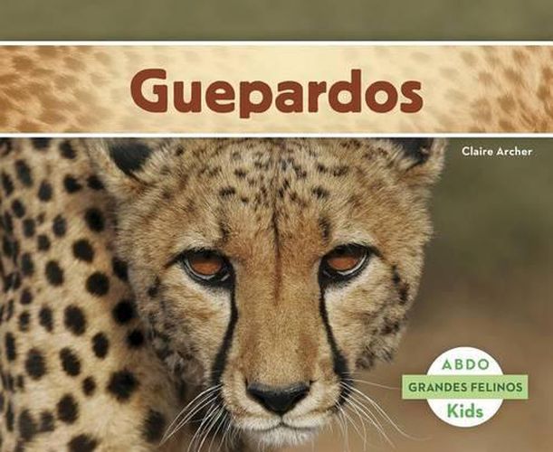 Cover image for Guepardos