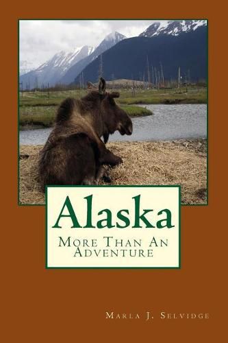 Cover image for Alaska: More Than An Adventure