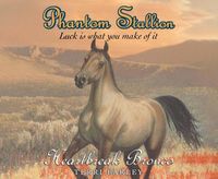 Cover image for Phantom Stallion: Heartbreak Broncovolume 13