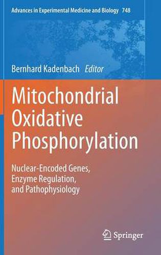 Cover image for Mitochondrial Oxidative Phosphorylation: Nuclear-Encoded Genes, Enzyme Regulation, and Pathophysiology