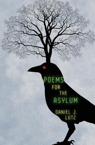 Cover image for Poems for the Asylum