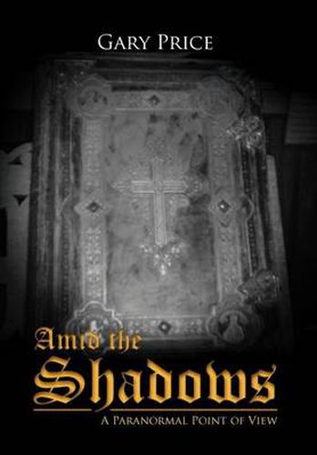 Cover image for Amid the Shadows: A Paranormal Point of View