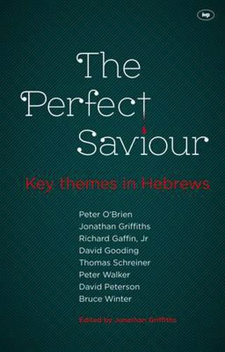 Cover image for The Perfect Saviour