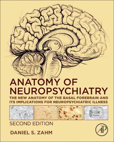 Cover image for Anatomy of Neuropsychiatry