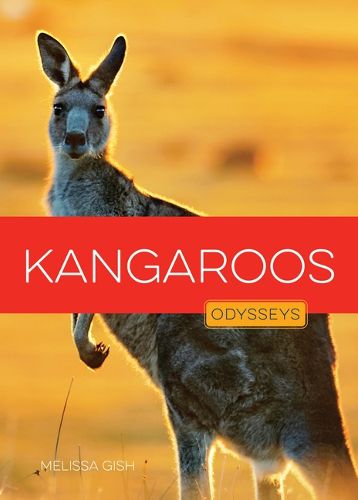 Cover image for Kangaroos