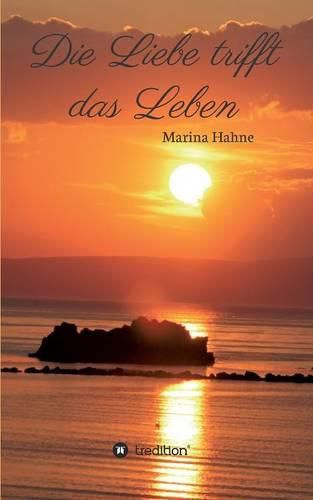 Cover image for Die Liebe trifft das Leben