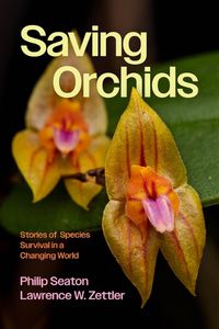 Cover image for Saving Orchids