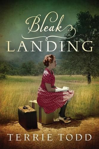 Cover image for Bleak Landing