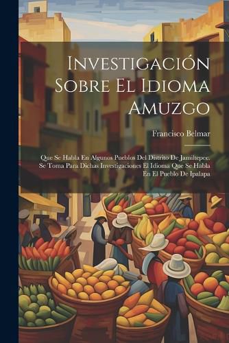 Cover image for Investigacion Sobre El Idioma Amuzgo