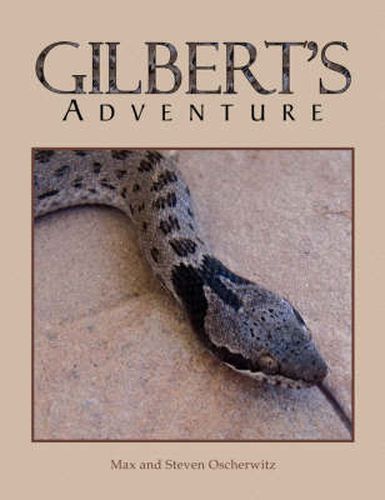 Cover image for Gilbert's Adventure