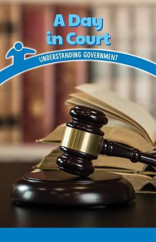 Cover image for A Day in Court: Understanding Government