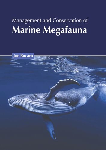 Cover image for Management and Conservation of Marine Megafauna