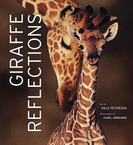 Cover image for Giraffe Reflections