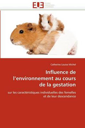 Cover image for Influence de L'Environnement Au Cours de La Gestation