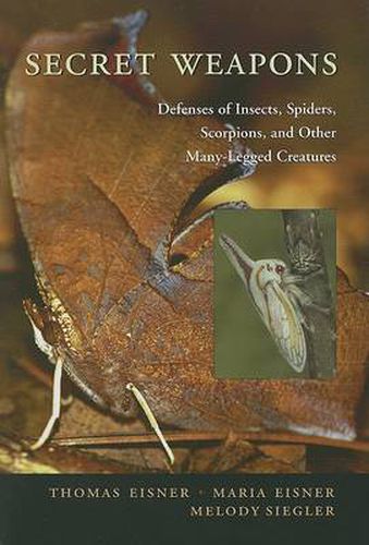 Cover image for Secret Weapons: Defenses of Insects, Spiders, Scorpions, and Other Many-Legged Creatures