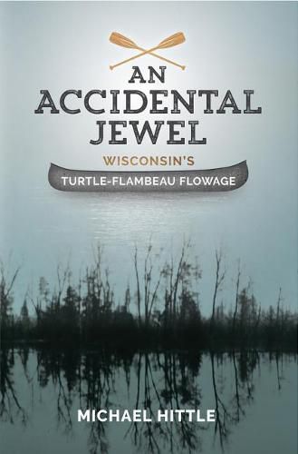 Cover image for An Accidental Jewel