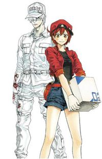 Cover image for Cells at Work! Complete Manga Box Set!
