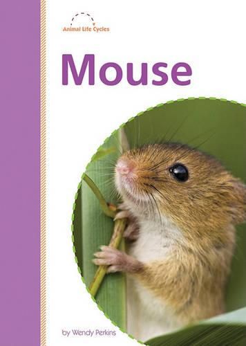 Cover image for Mouse