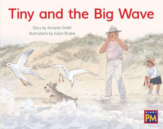 Cover image for Tiny and the Big Wave: Leveled Reader Yellow Fiction Level 8 Grade 1