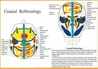 Cover image for Cranial Reflexology -- A4