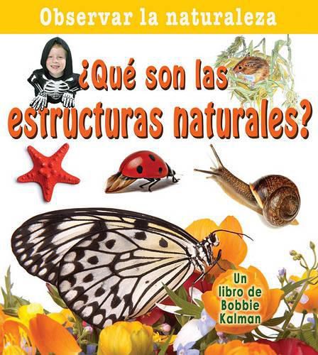 Cover image for Que Son las Estructuras Naturales?