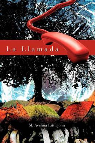 Cover image for L A L L A M A D a