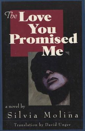 Cover image for The Love You Promised Me