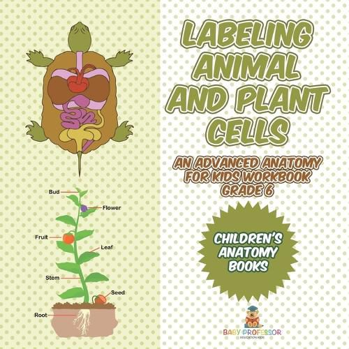 Cover image for Labeling Animal and Plant Cells - An Advanced Anatomy for Kids Workbook Grade 6 Children's Anatomy Books